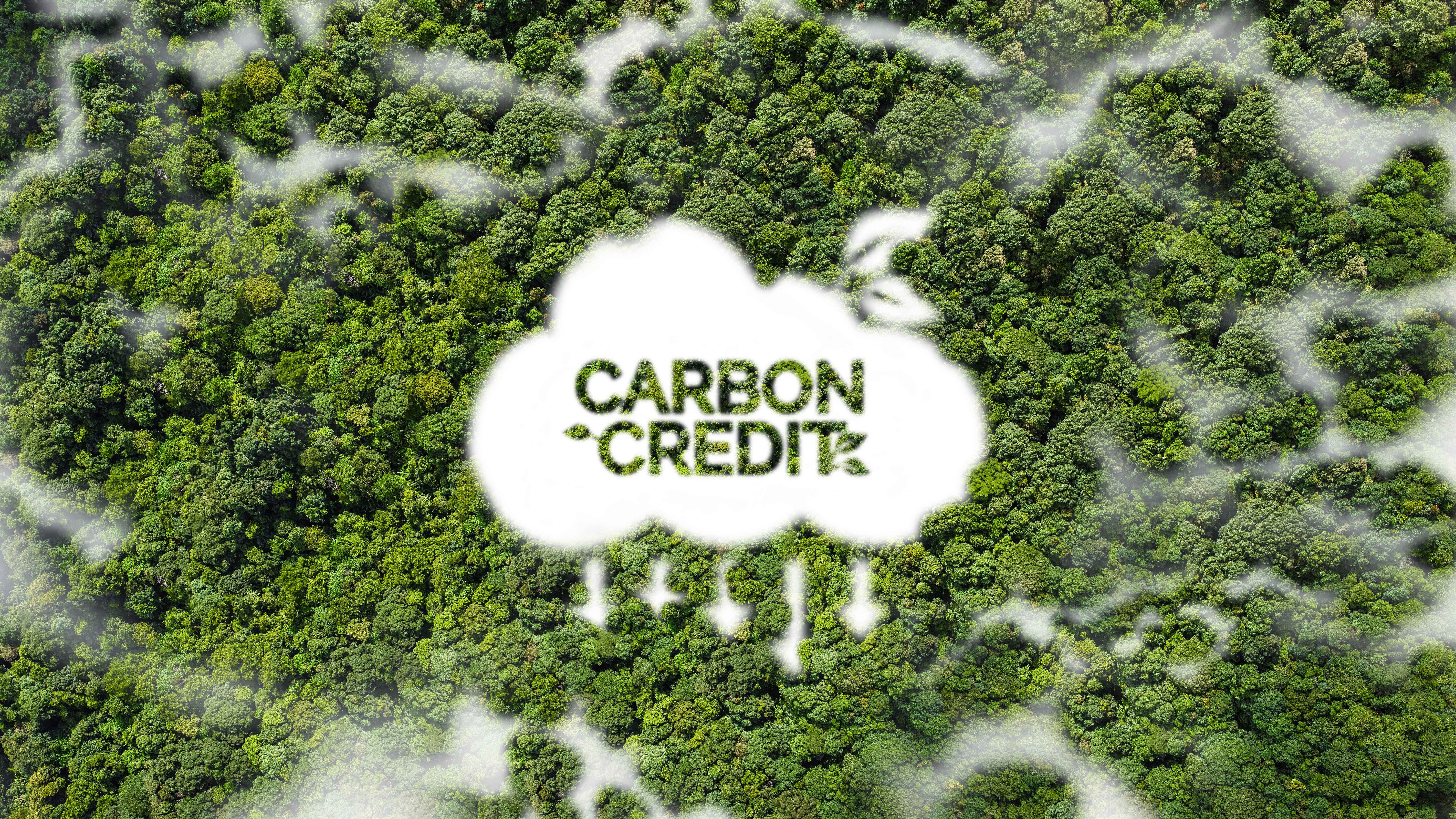 Carbon Credits: Financing the Future