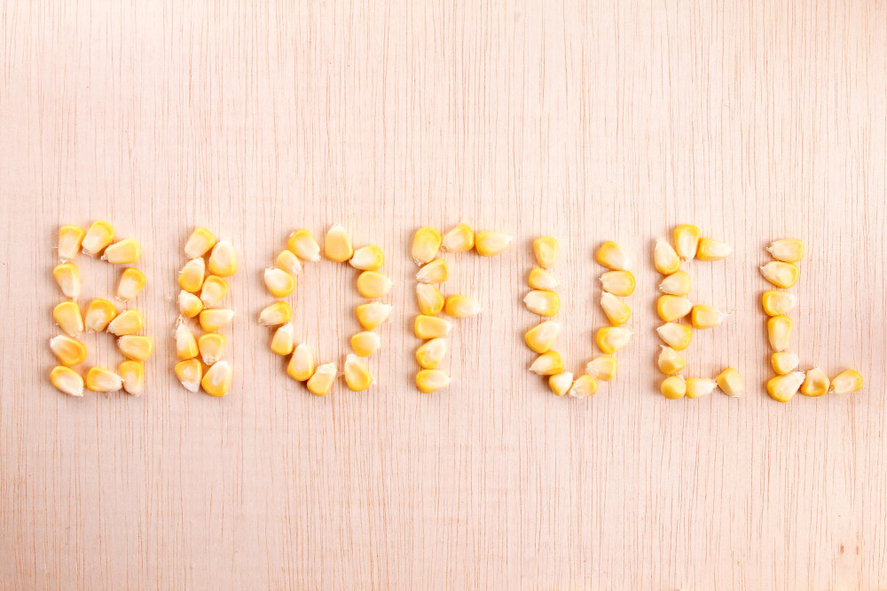 Grain-based ethanol has potential to boost farmers income by ₹35,000 cr, says report