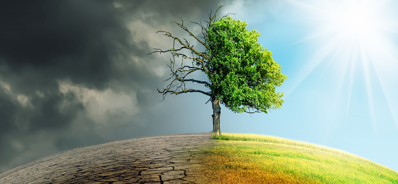 EU’s carbon tax on imports could be an issue at the G20 trade ministerial in Jaipur